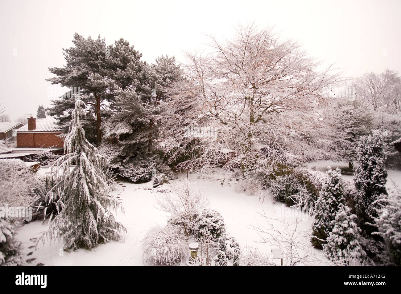 Il giardinaggio inverno suburban giardino sul retro sotto la neve Foto Stock