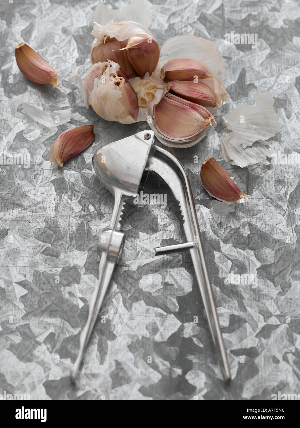 Aglio - fascia alta Hasselblad 61mb di immagine digitale Foto Stock