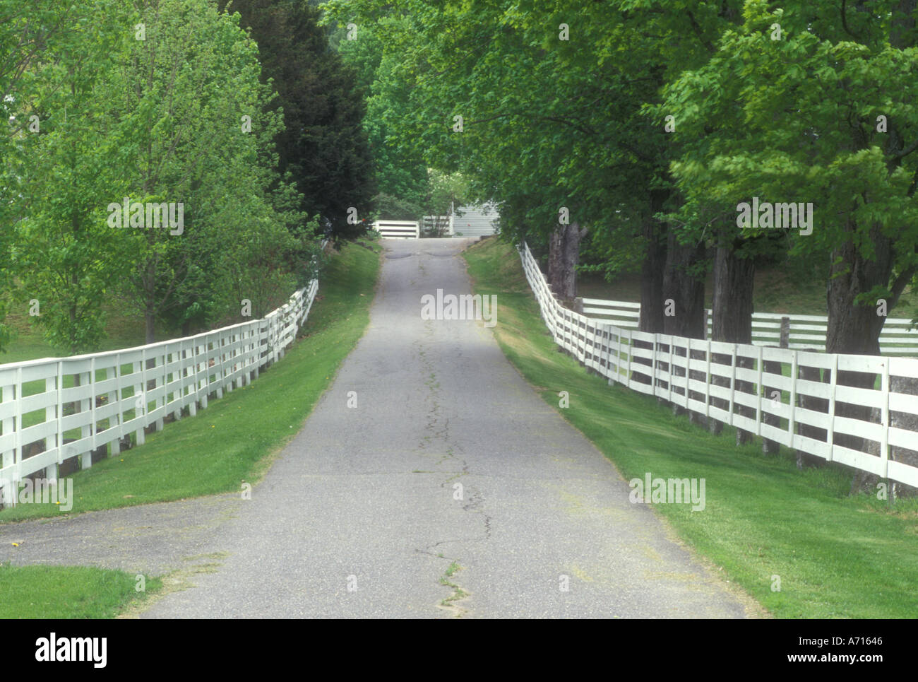 AJ1433, New Hampshire, NH, New England Foto Stock