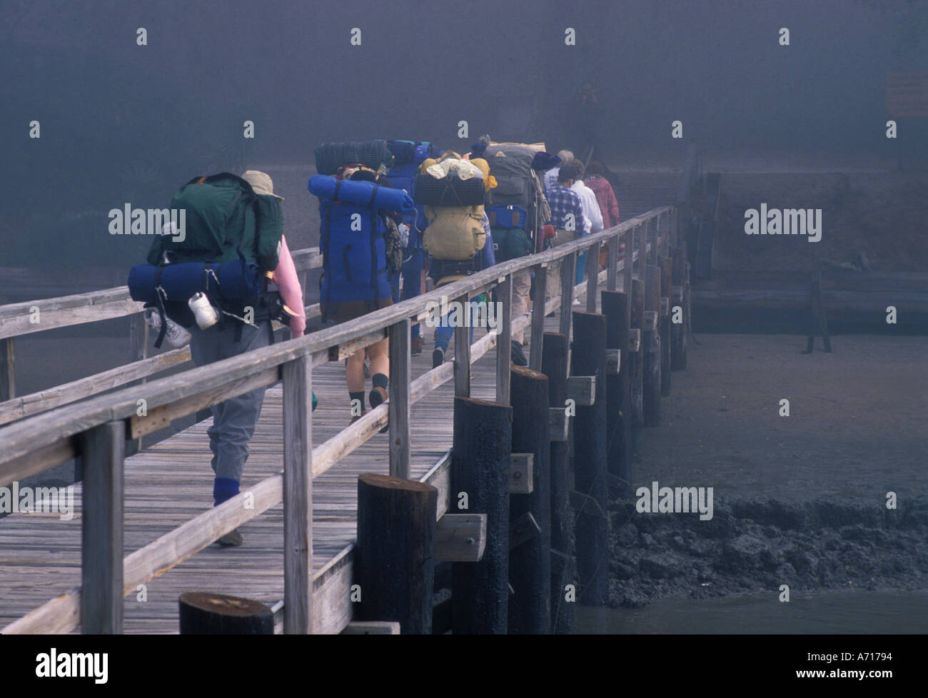 AJ1767, Cumberland Island National Seashore, Georgia, GA Foto Stock