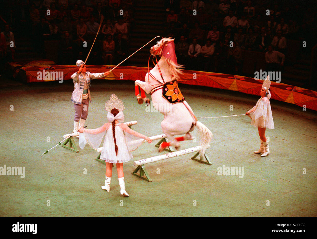 Un cavallo esegue nel Circo di Mosca a Mosca URSS Foto Stock
