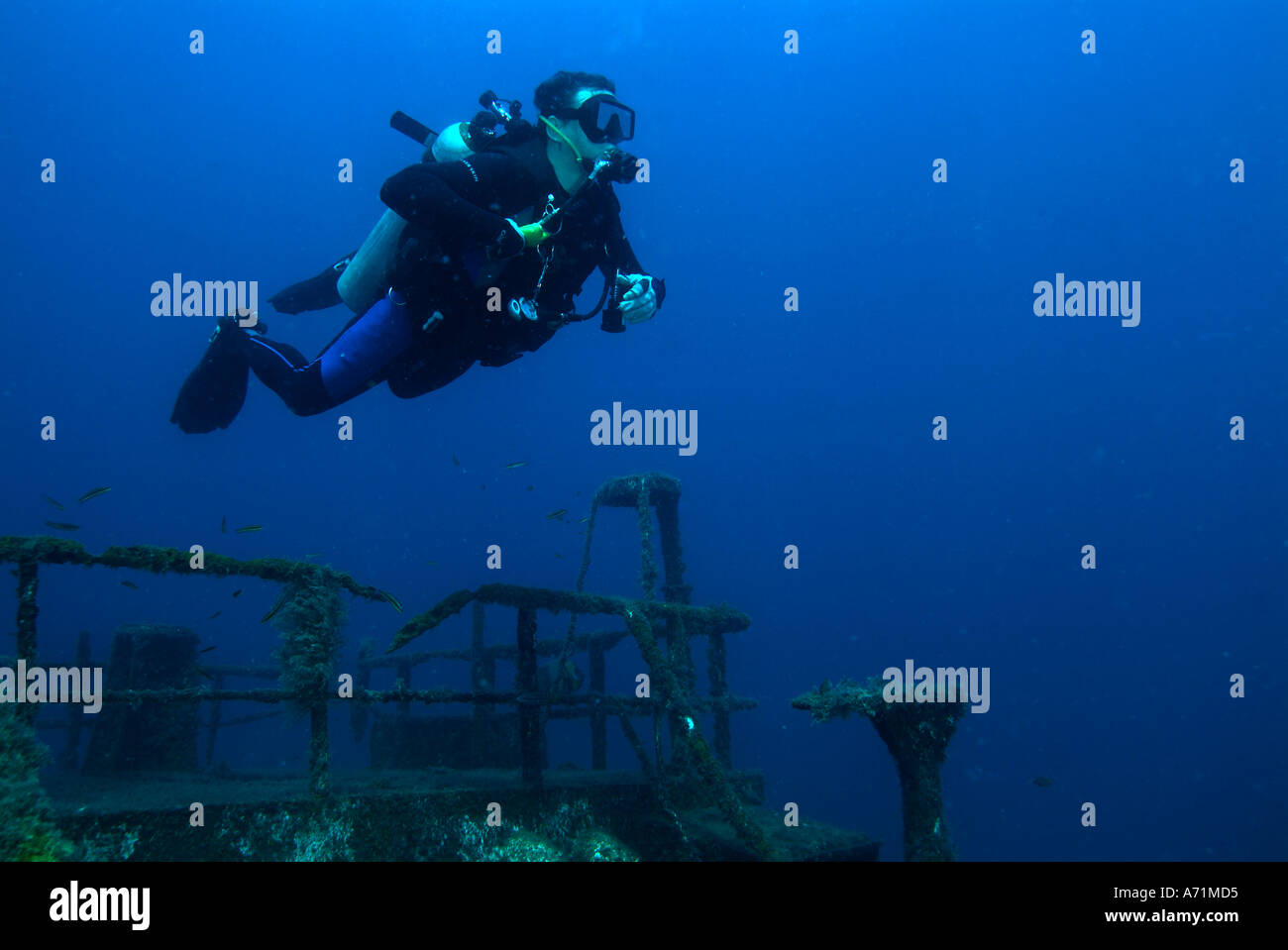 Un nuoto subacqueo oltre il Fang Ming relitto nel mare di Cortez Foto Stock