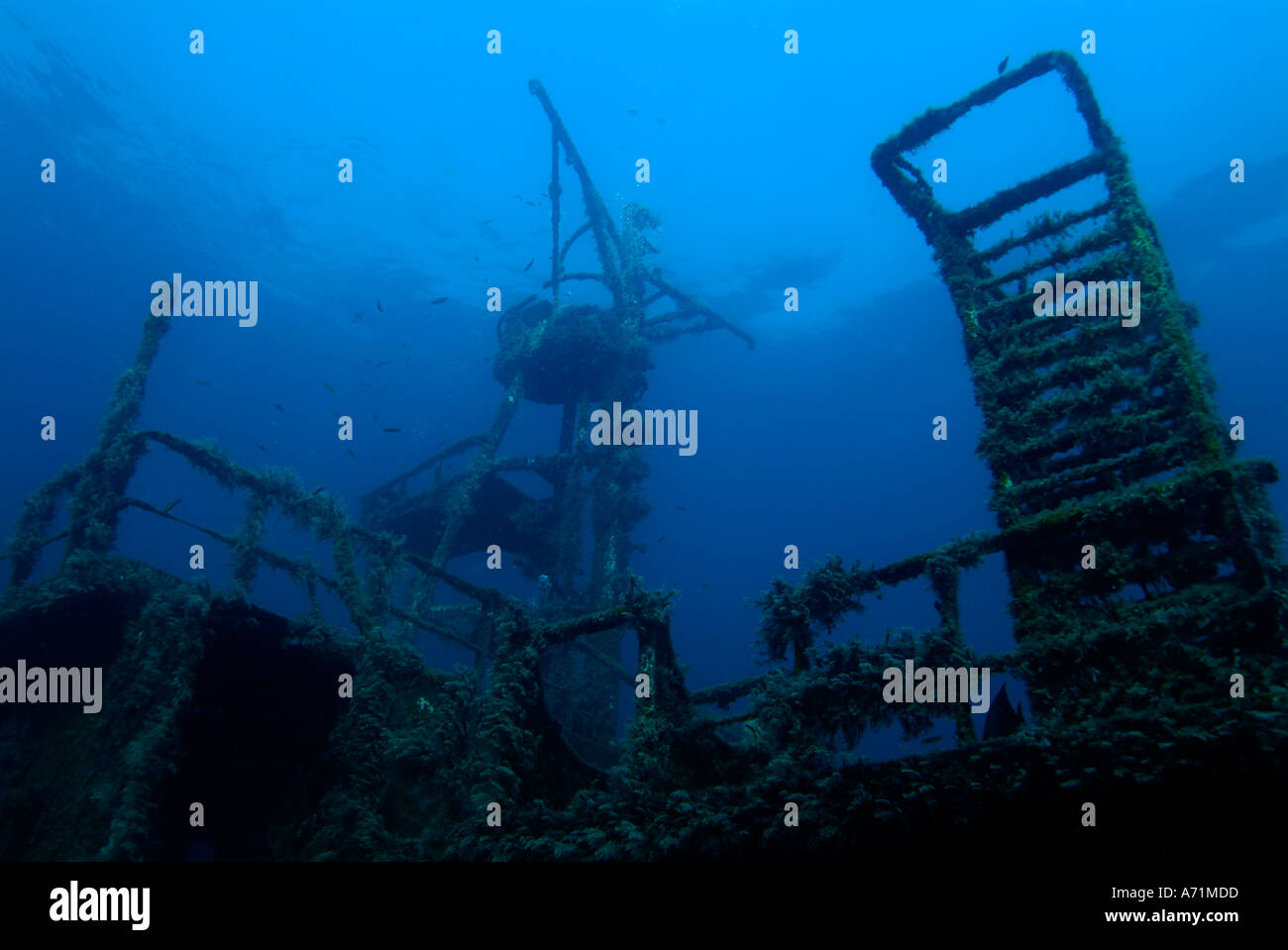 Il Fang Ming relitto nel mare di Cortez Foto Stock