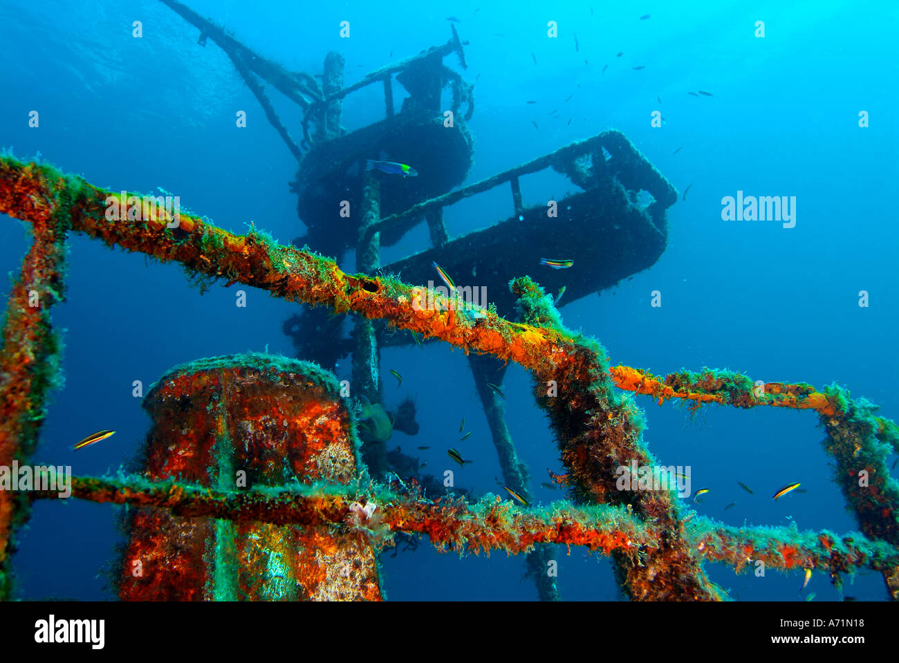 Il Fang Ming relitto nel mare di Cortez Foto Stock