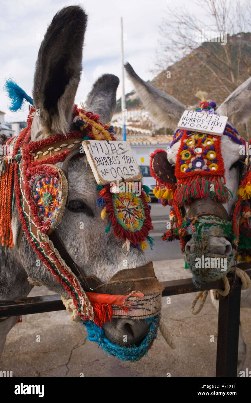 Il villaggio di Mijas Provincia di Malaga Andalusia Spagna mijas Burros Taxi Foto Stock