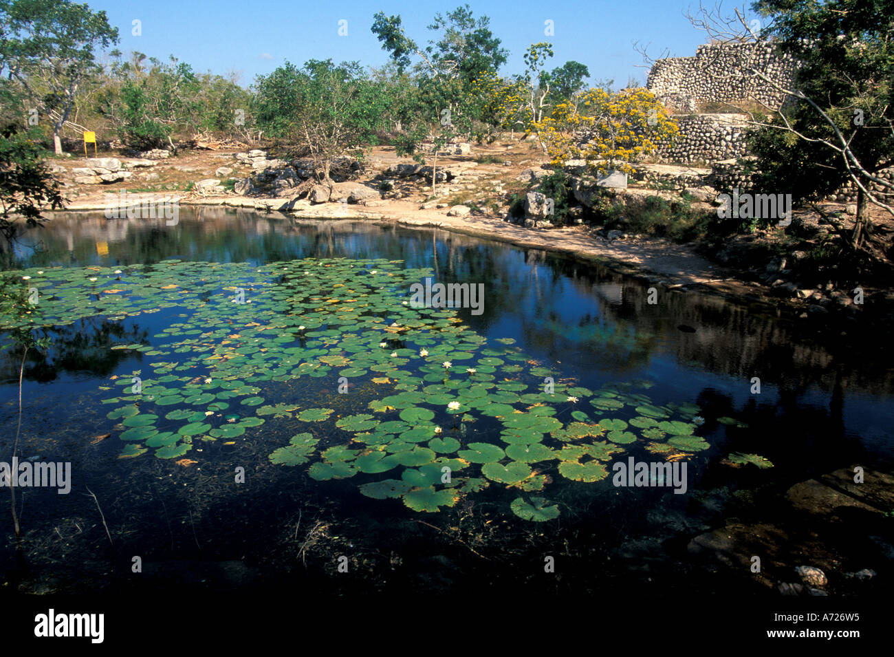 Dzibilchaltun maya maya attrazione turistica Foto Stock