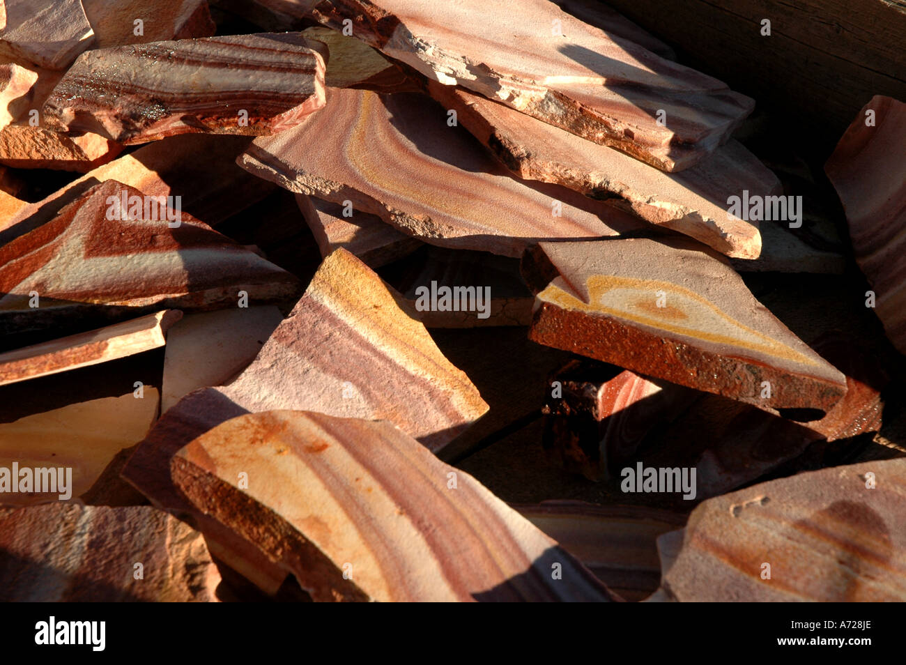 Utah pietrificato di legno fossile Foto Stock