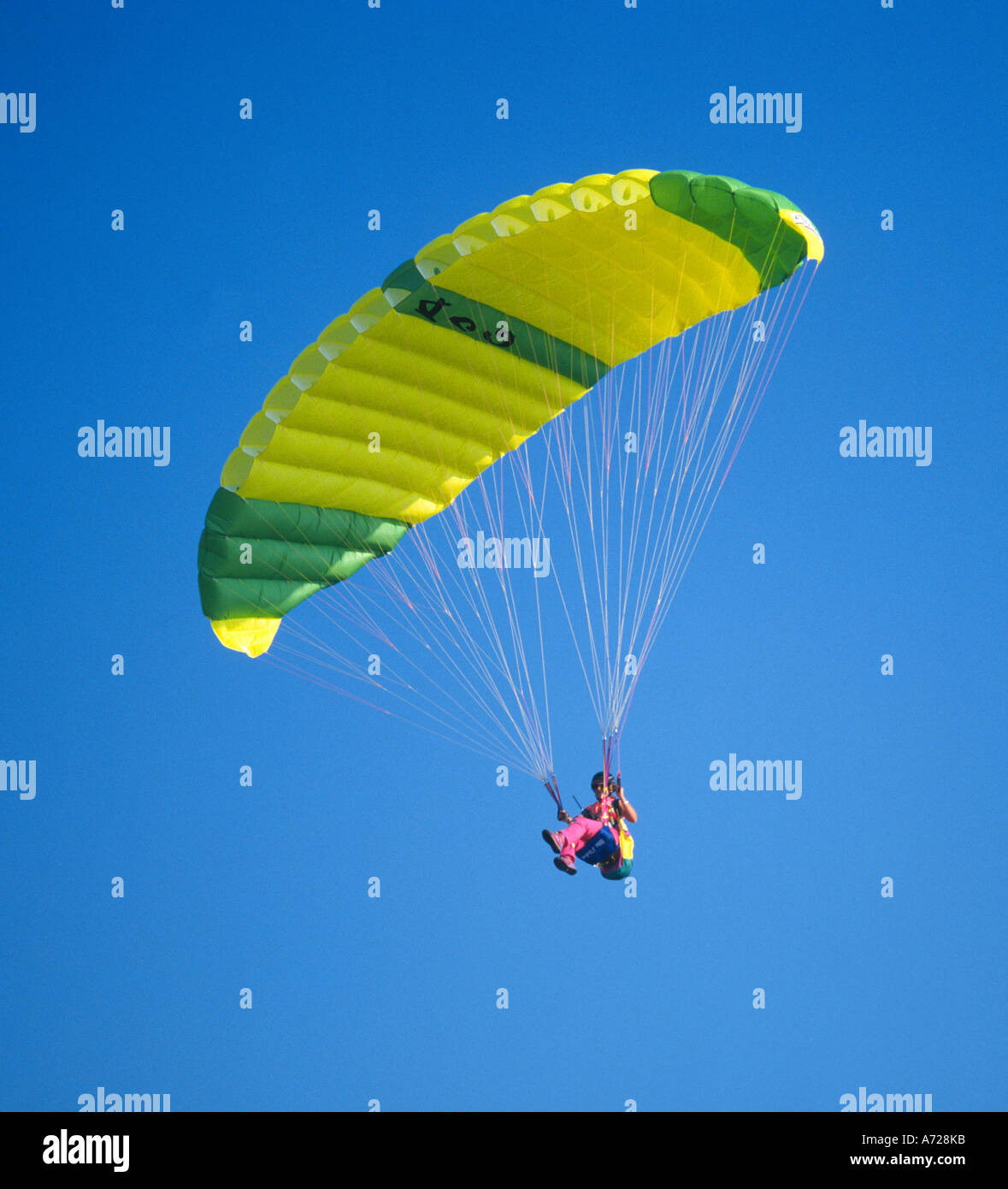 Paracadute gialli Glide Foto Stock