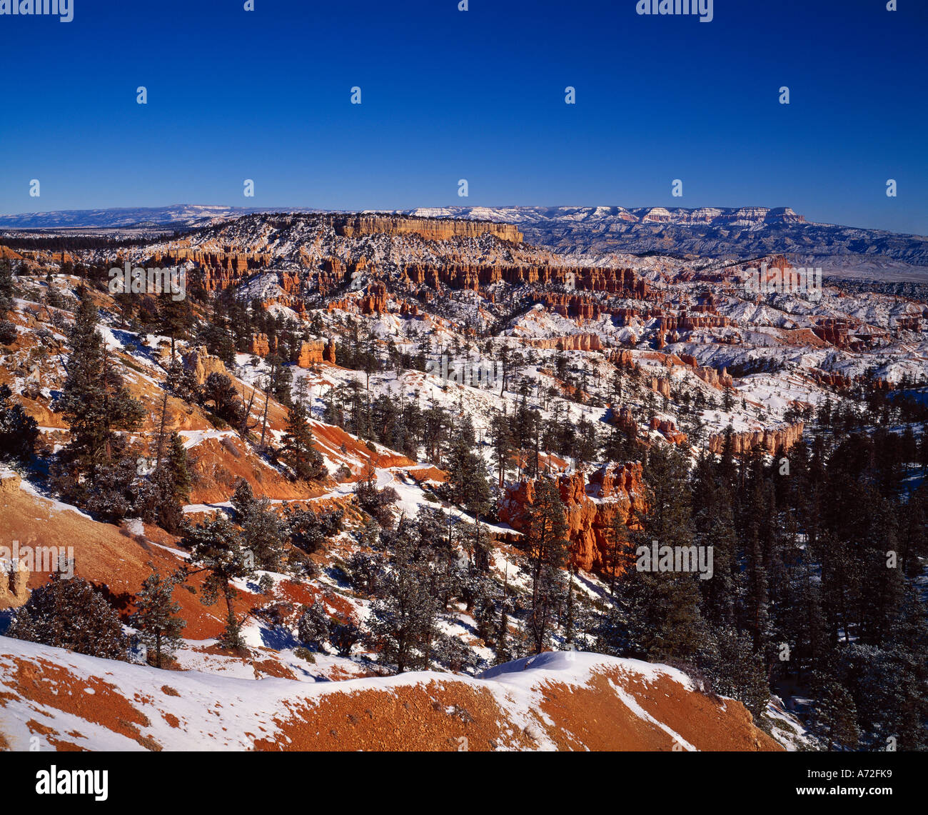 Inverno nel Parco Nazionale di Bryce Canyon Foto Stock