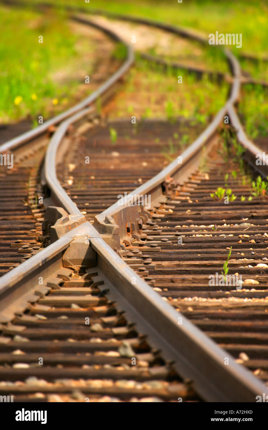 I binari della ferrovia che si fondono in percorsi differenti Foto Stock