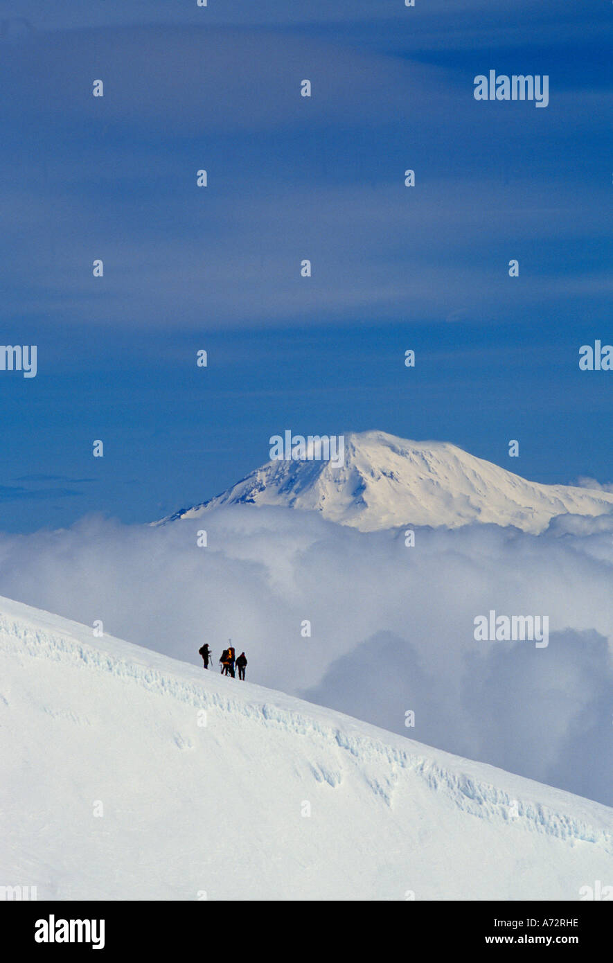 Gli alpinisti Monte Adams in background Foto Stock
