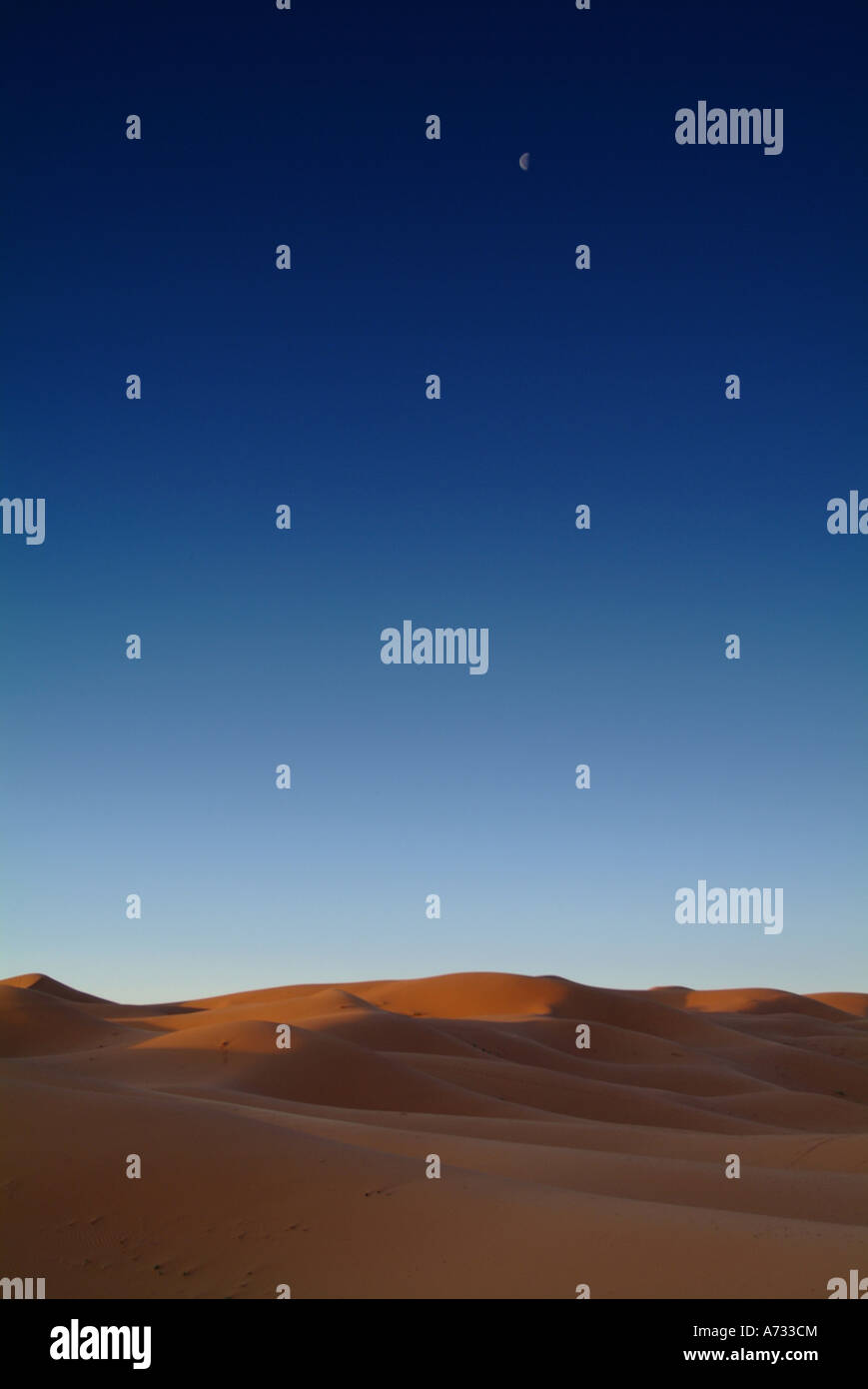 Le dune di sabbia del deserto marocchino, Marocco, Africa del Nord Foto Stock