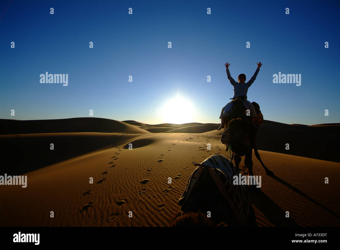 Le dune di sabbia del deserto marocchino, Marocco, Africa del Nord Foto Stock