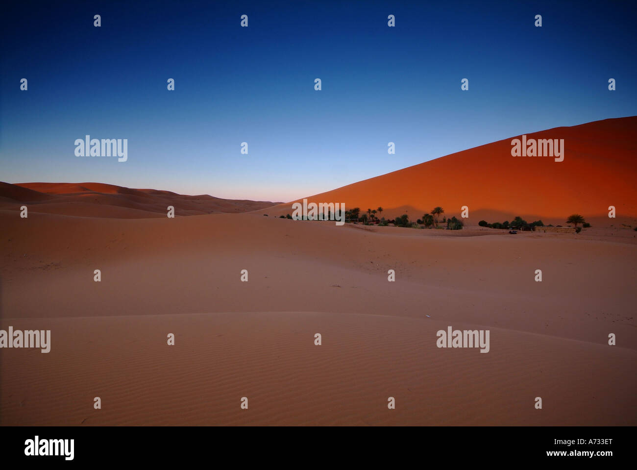 Le dune di sabbia del deserto marocchino, Marocco, Africa del Nord Foto Stock