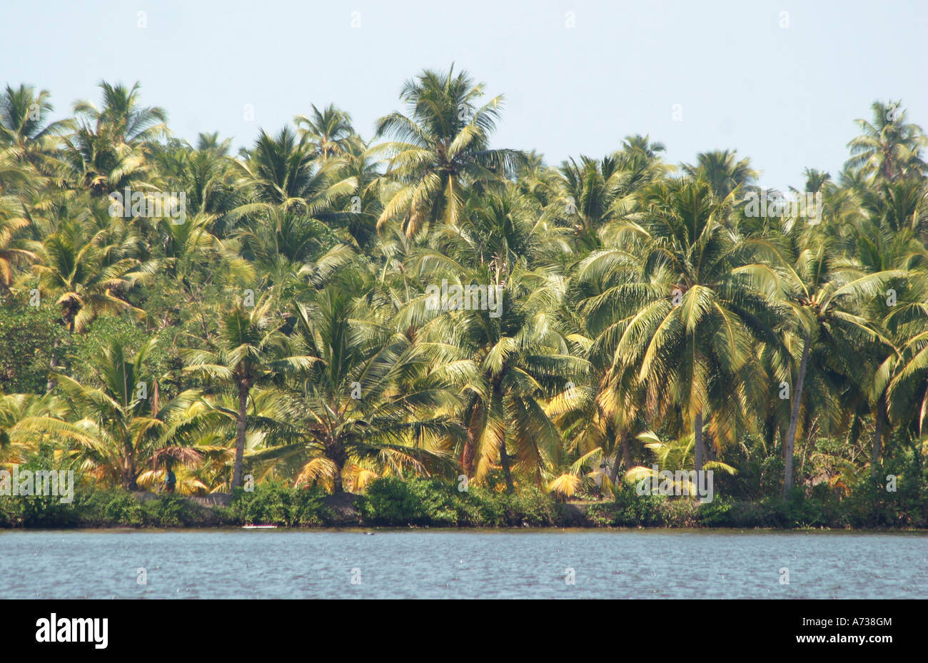 Il Kerala Backwaters in Alappuzha , India meridionale sono talvolta indicate come 'Venezia d'Oriente' Foto Stock