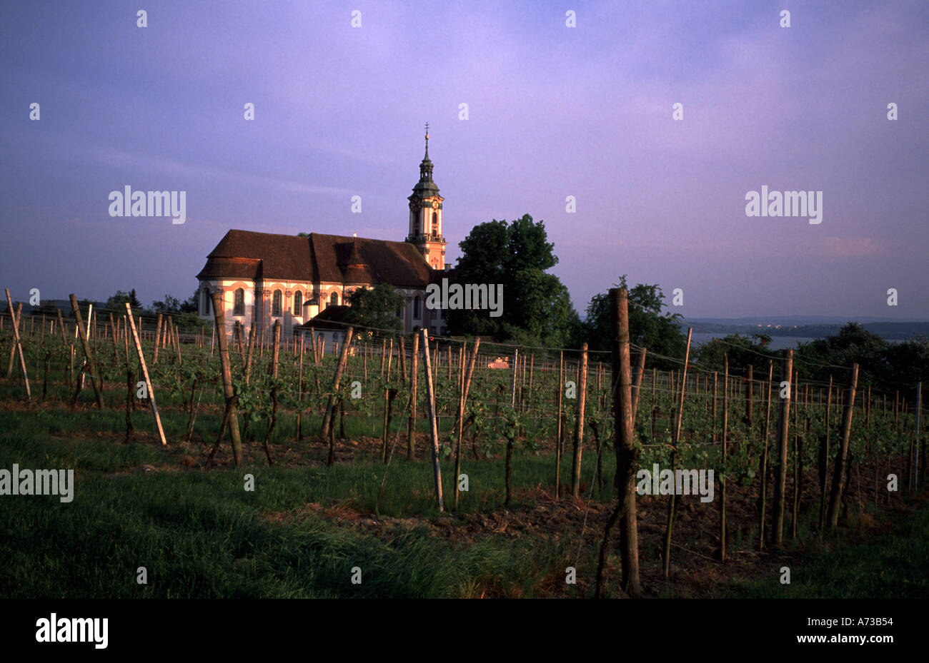 Monastero di Birnau vigneti e del Lago di Costanza in Germania Foto Stock