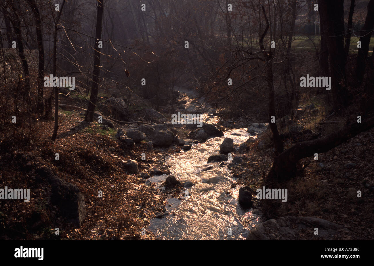 Creek all interno del Parco del palazzo di ex Shah Iran Teheran Foto Stock