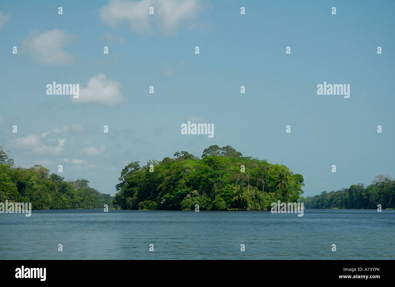 Isola nel Parco Nazionale di Tortuguero, Costa Rica, America Centrale Foto Stock