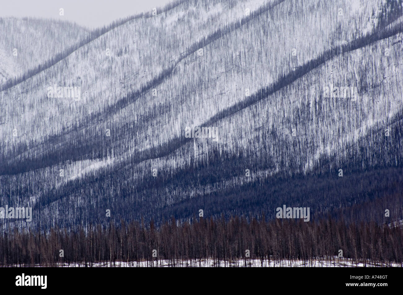 Sincline Ridge masterizzare Foto Stock