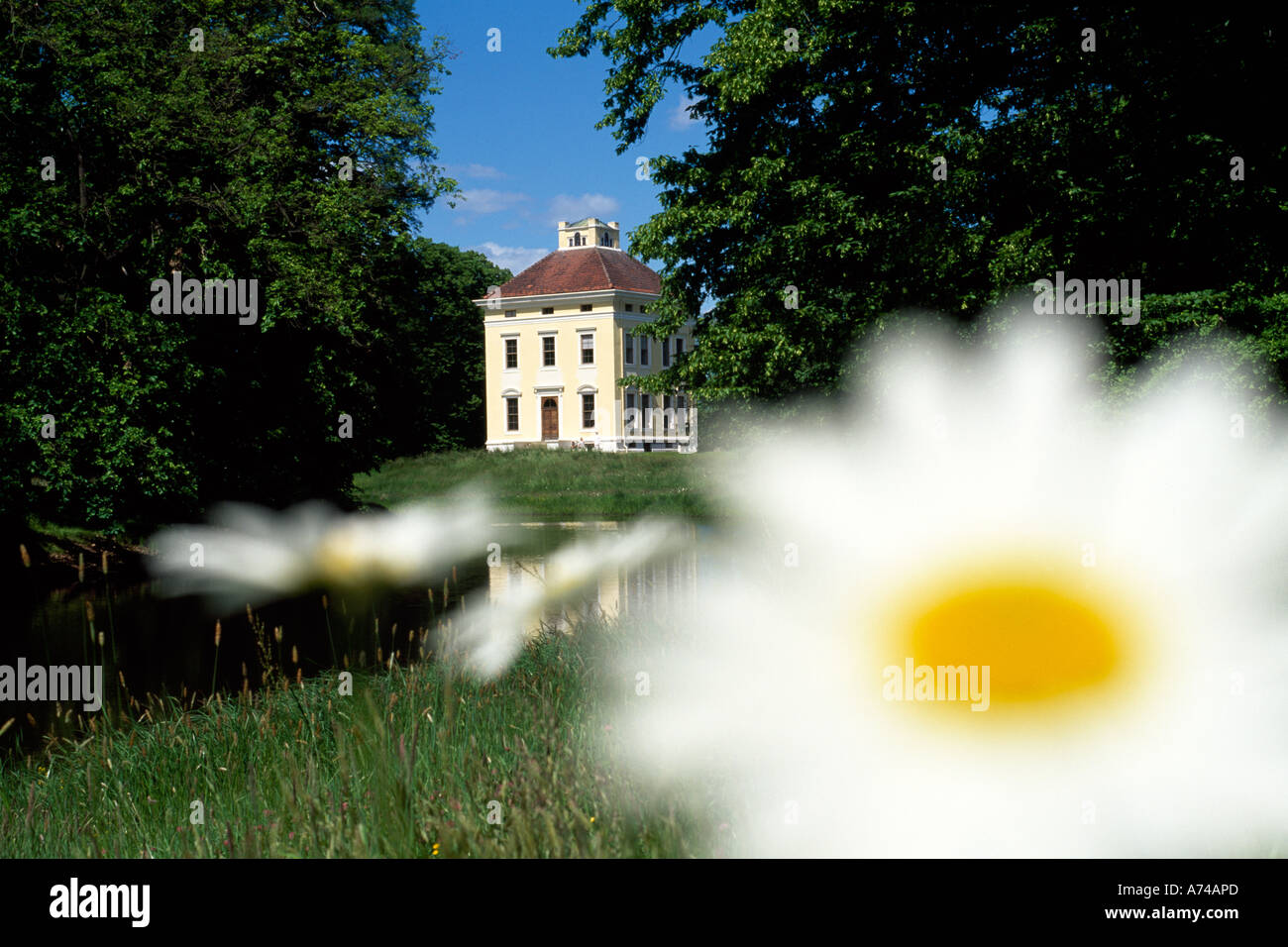 Il castello di Luisium Dessau Sassonia-anhalt Germania Foto Stock