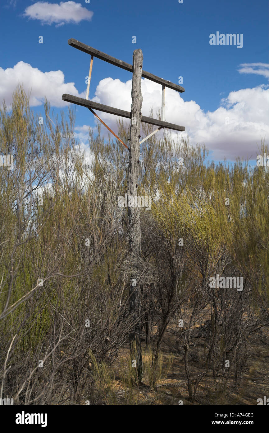 Abbandonati palo del telegrafo nel bush australiano Foto Stock