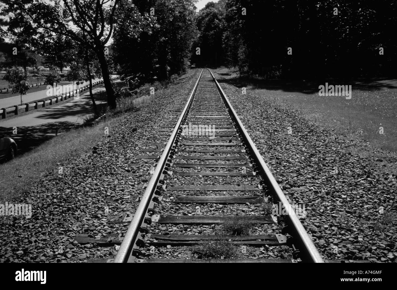 Treno le vie che portano a distanza Foto Stock