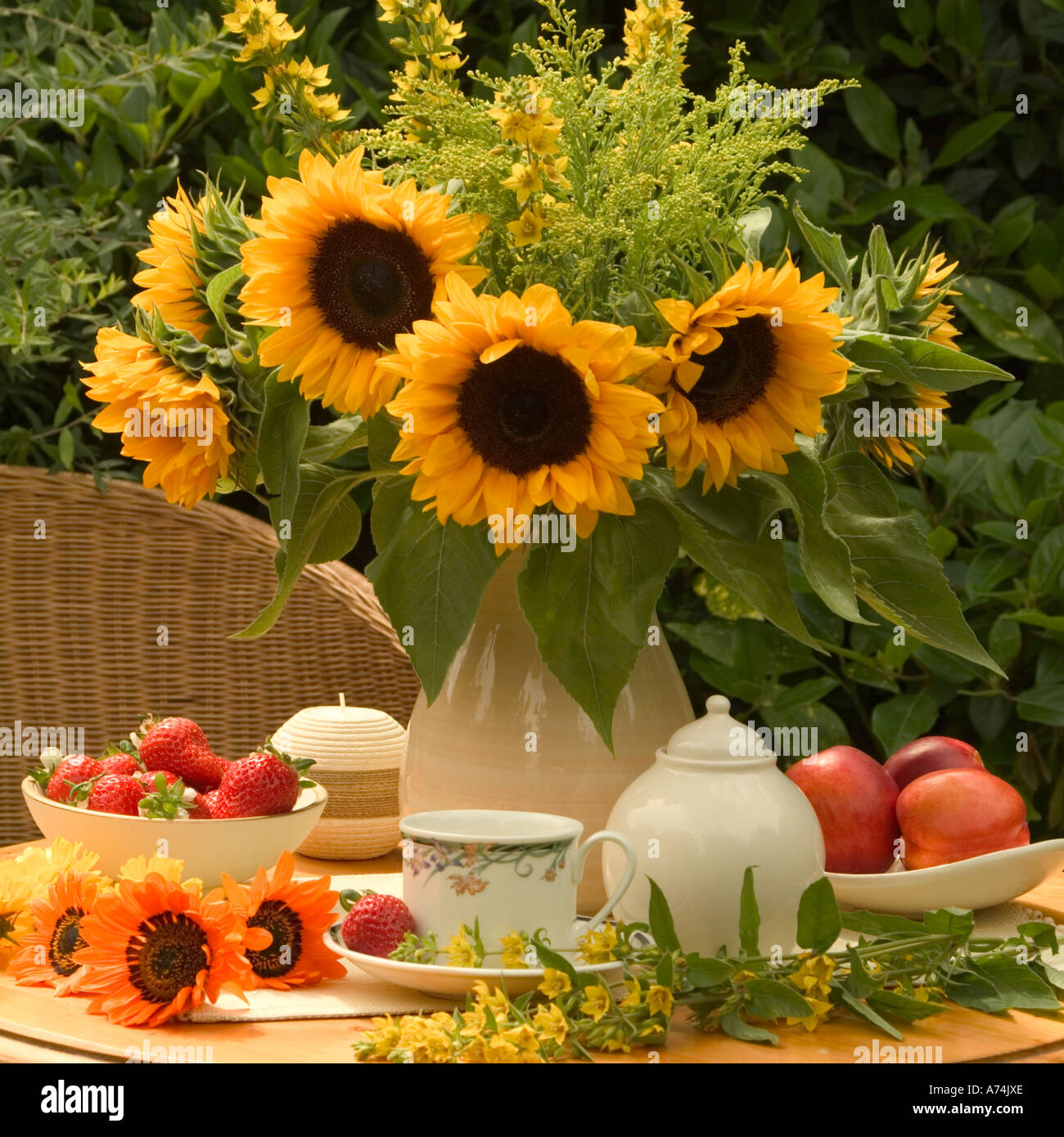 Disposizione di semi di girasole in giardino Foto Stock