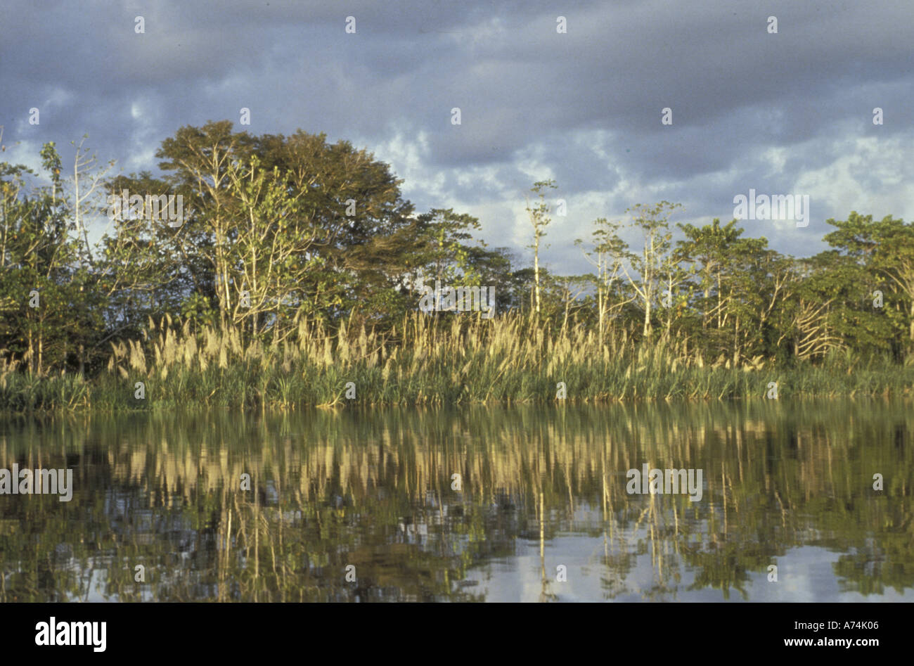 Asia, Papua Nuova Guinea, Karawari River. Vista sul fiume con riflessioni Foto Stock