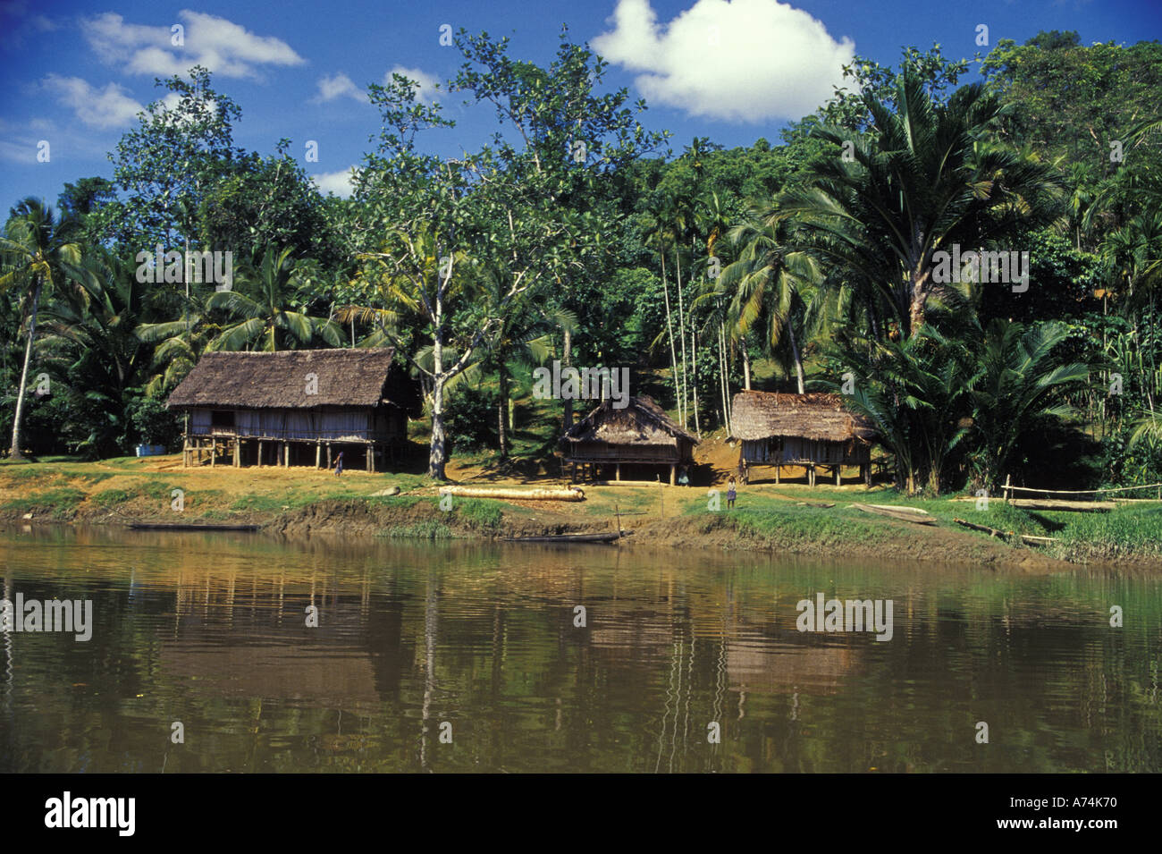 Asia, Papua Nuova Guinea, regione Sepik. Karawari River Cruise Foto Stock