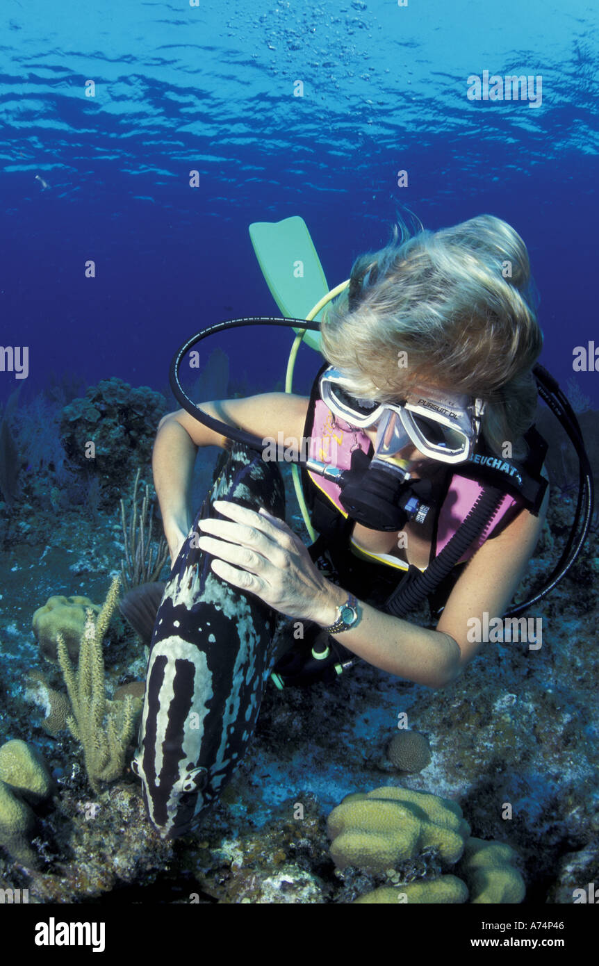 CA, il Belize, la barriera corallina. Scuba diving al Lighthouse reef (MR) Foto Stock