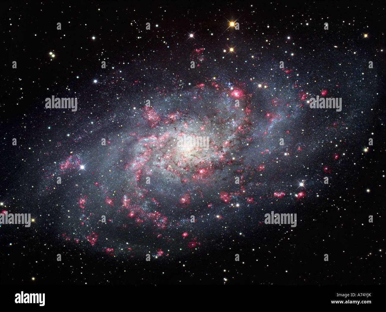 Il Triangulum Galaxy, noto anche come Messier 33 o NGC 598, Foto Stock