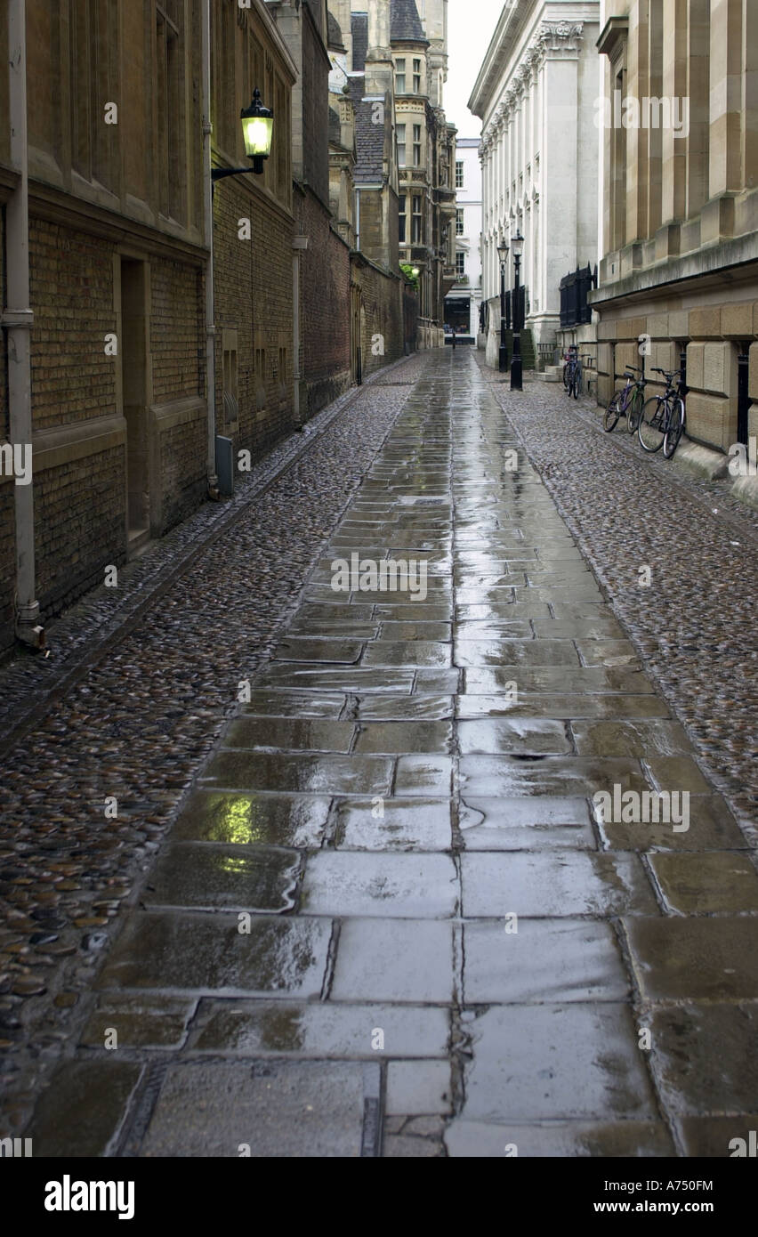 Senate House via di passaggio, Cambridge, Inghilterra con luce che riflette da bagnato pietre per pavimentazione a seguito di una breve doccia a pioggia Foto Stock