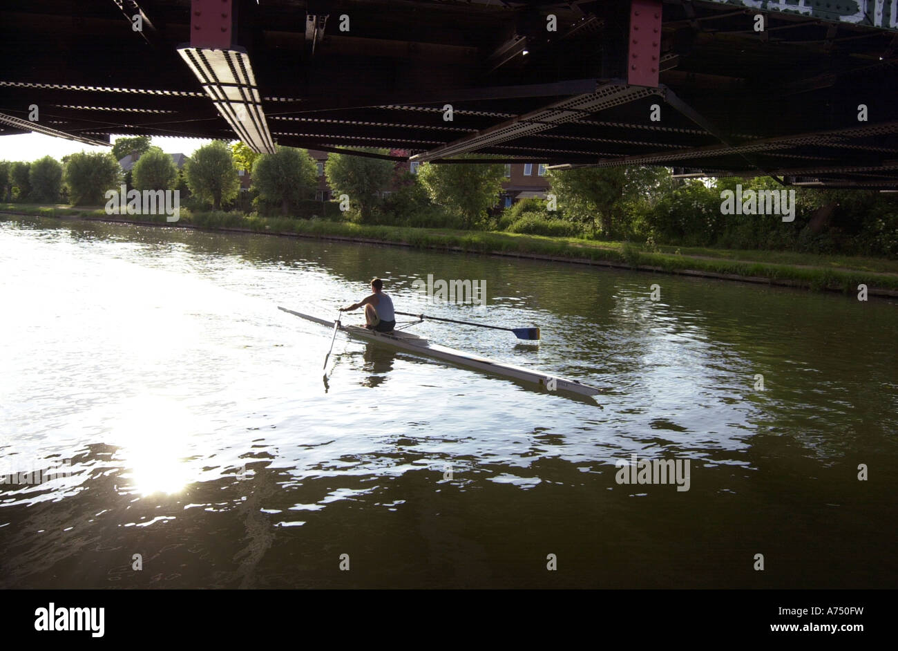Scull lungo il fiume Cam, Cambridge, guidando alacremente sotto un ponte ferroviario Foto Stock