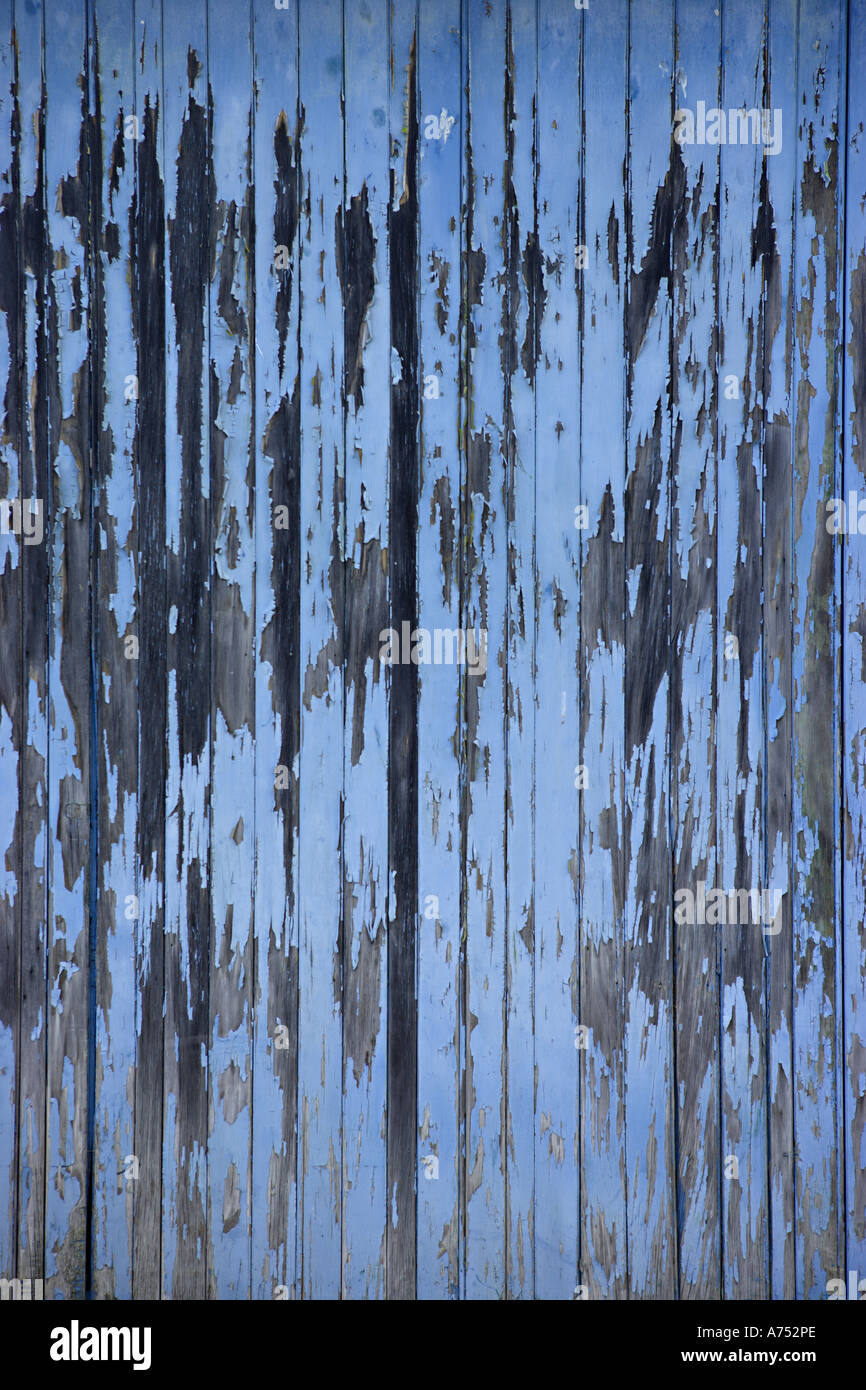 Meteo battuto dipinto di blu porta in legno Foto Stock