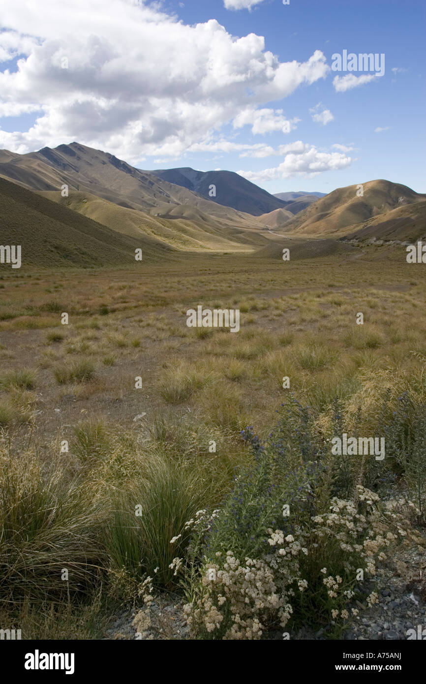 Dolci colline e ampi spazi aperti Waitaki District Isola del Sud della Nuova Zelanda Foto Stock