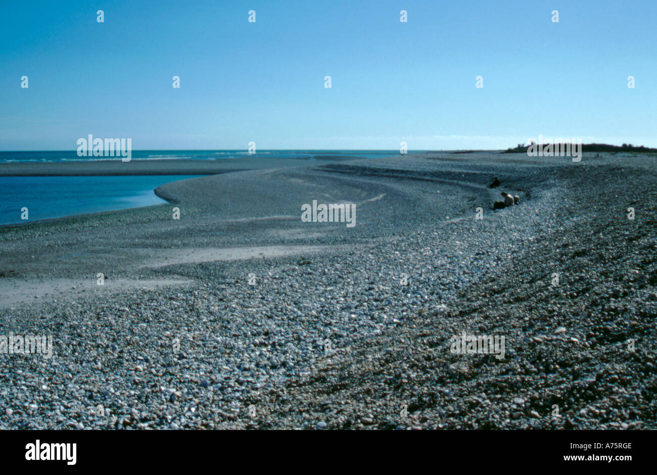 Spiaggia di ciottoli a Pagham, vicino Selsey Bill, West Sussex, in Inghilterra, Regno Unito. Foto Stock