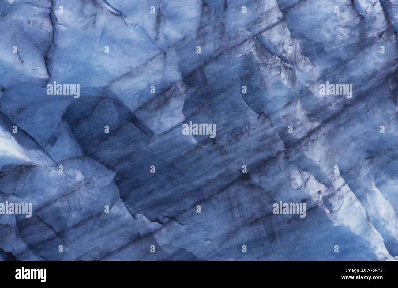 Fox Glacier faccia terminale dettaglio Westland National Park Isola del Sud della Nuova Zelanda Foto Stock
