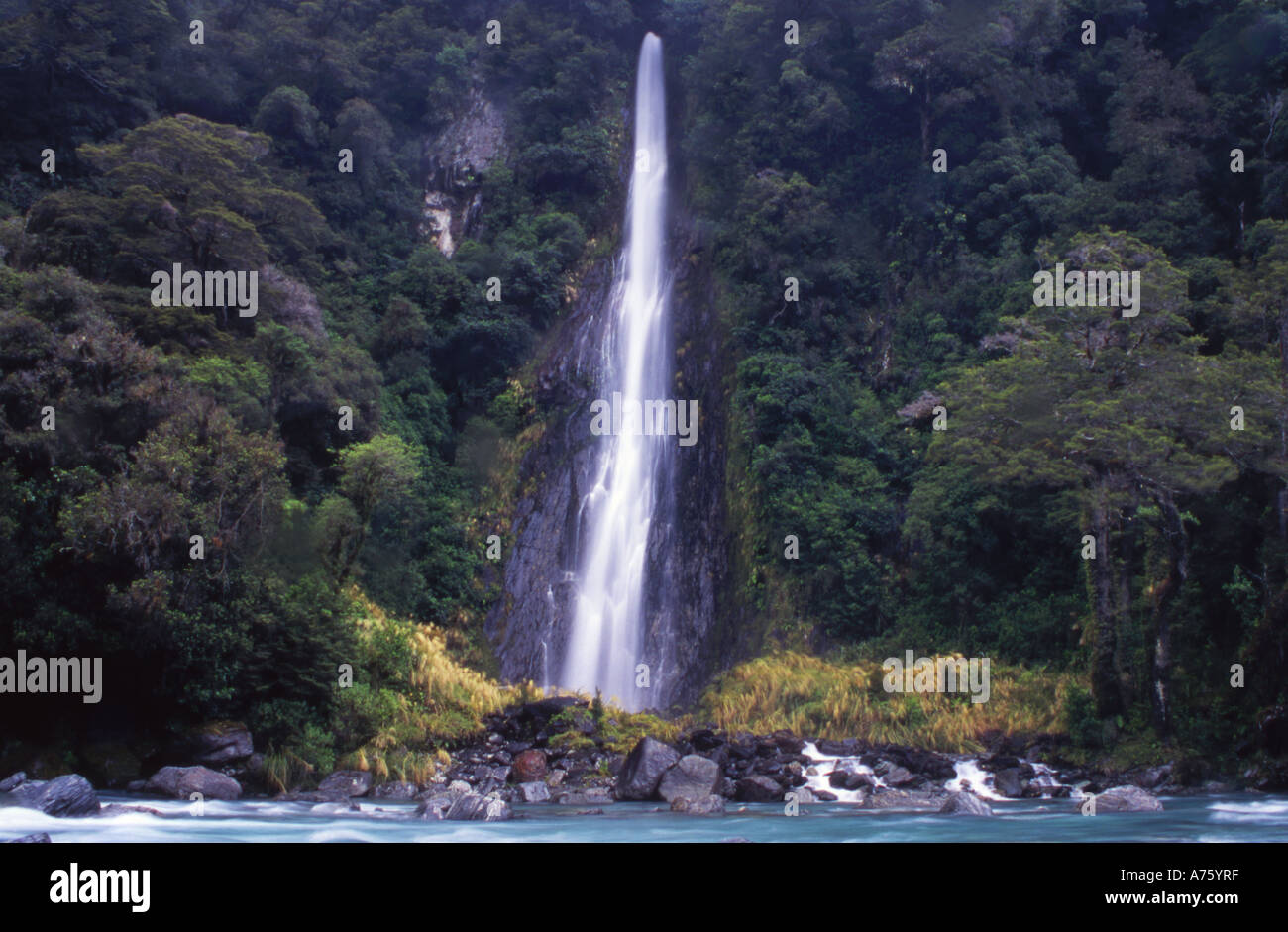 Thunder Creek Falls Haast Pass Mt Aspiring National Park Isola del Sud della Nuova Zelanda Foto Stock