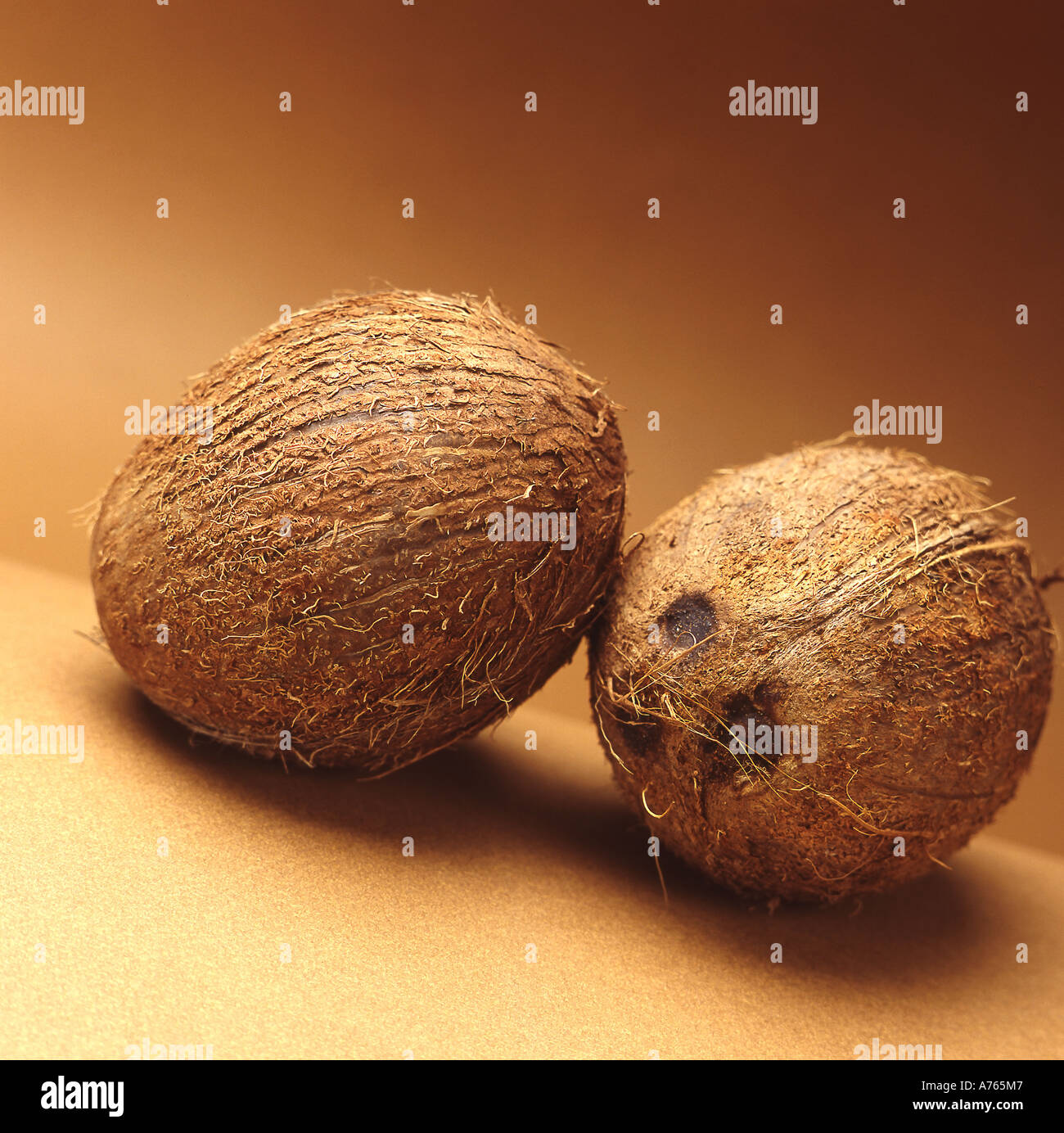 Noci di cocco Foto Stock