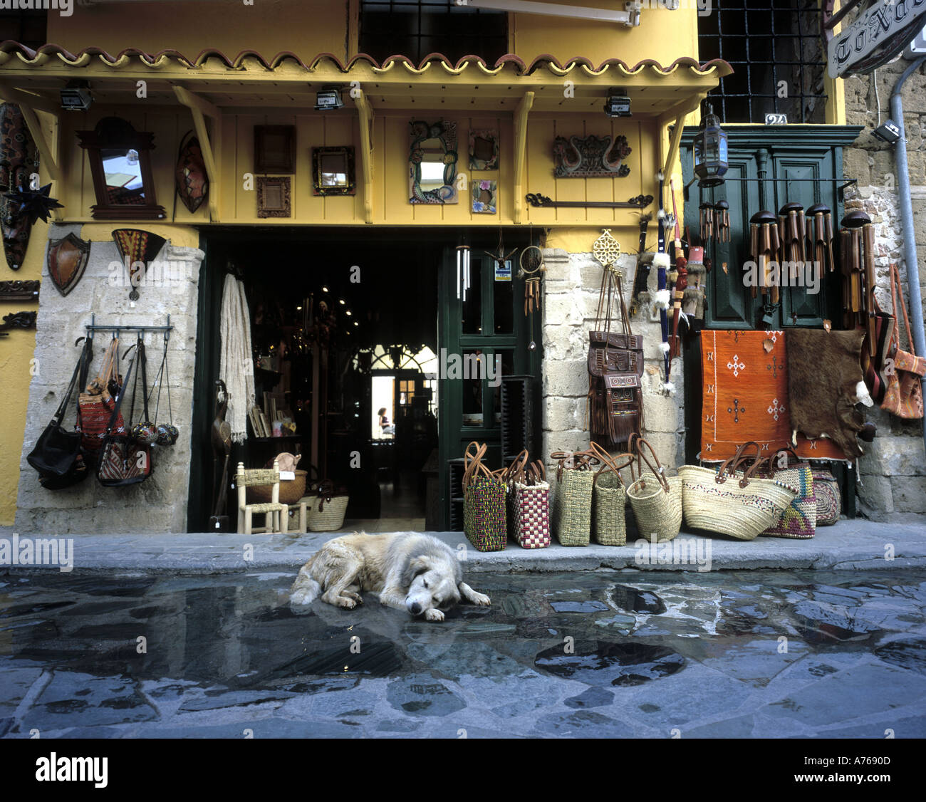 Un cane non si raffredda in una pozza al di fuori di un negozio di Chania a Creta Foto Stock