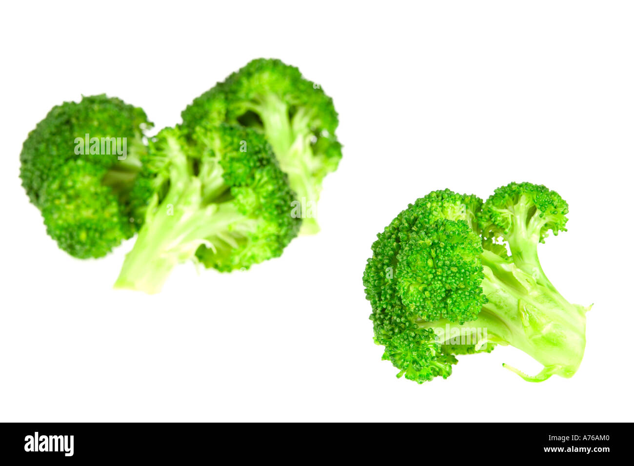 Cluster di numerose cime di broccoli su un puro sfondo bianco. Foto Stock