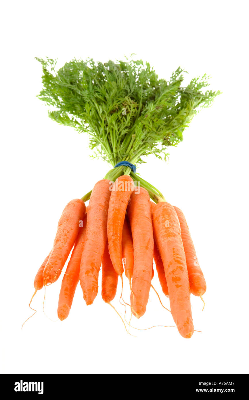 Mazzetto di legato le carote fresche su un puro sfondo bianco. Foto Stock