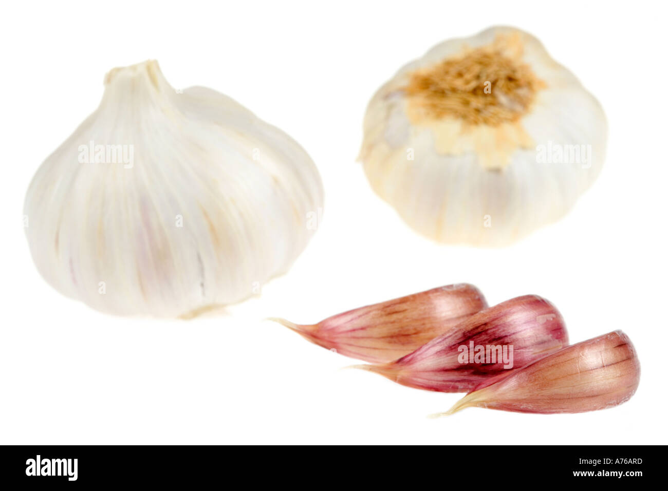 Tutto bulbi di aglio e tre chiodi di garofano su un puro sfondo bianco. Foto Stock