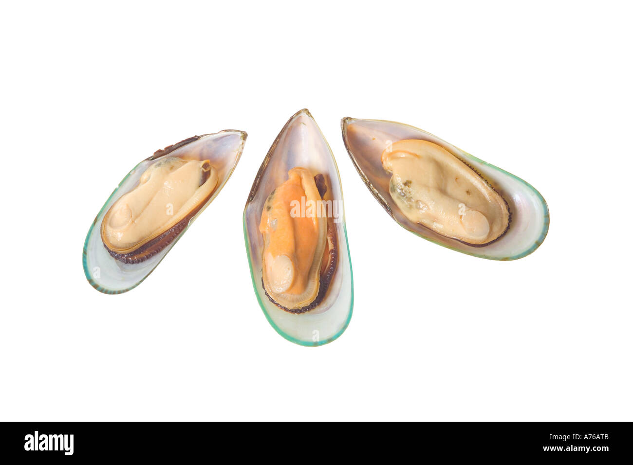 Tre le cozze cotte in gusci su un puro sfondo bianco. Foto Stock