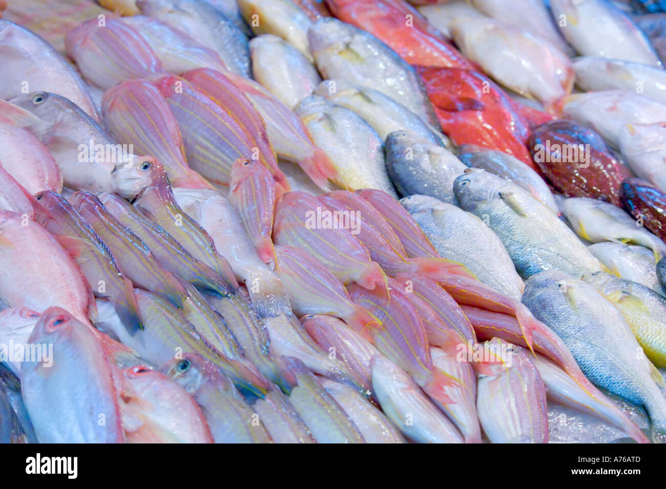 In prossimità di pesce fresco sul visualizzatore in corrispondenza di un pescivendolo. Foto Stock