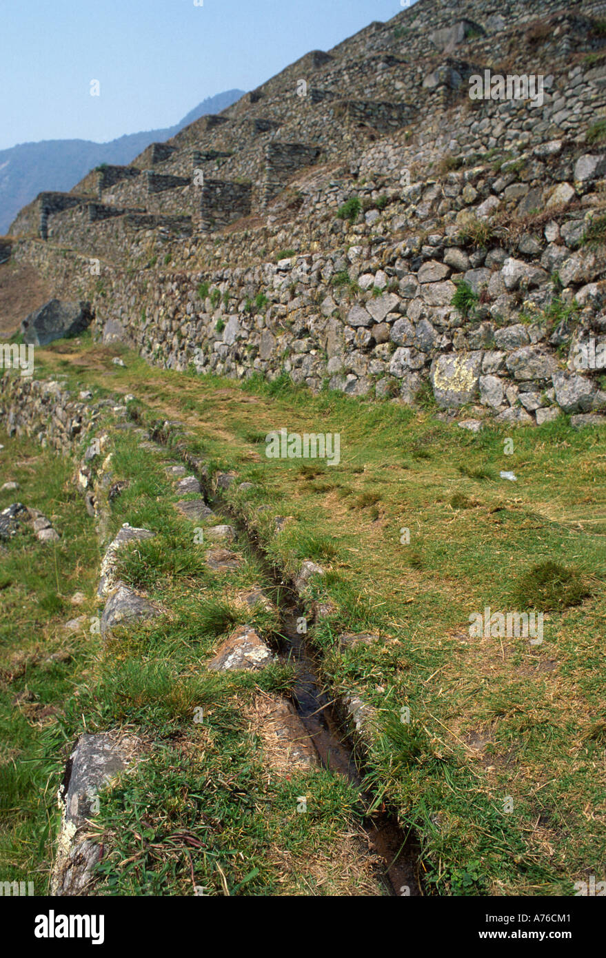 Terrazze e sistema di drenaggio delle acque per l'agricoltura, Machu Picchu Foto Stock