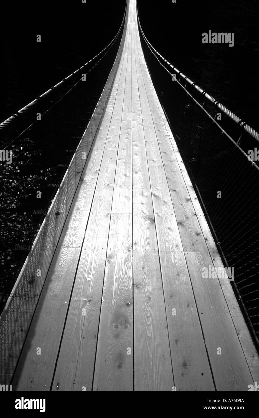 Ponte Sospeso di Capilano, Vancouver, Canada Foto Stock