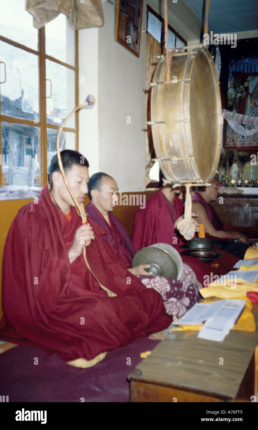 India tibetani in esilio i monaci a suonare strumenti a Puja in Mcleod Ganj Foto Stock