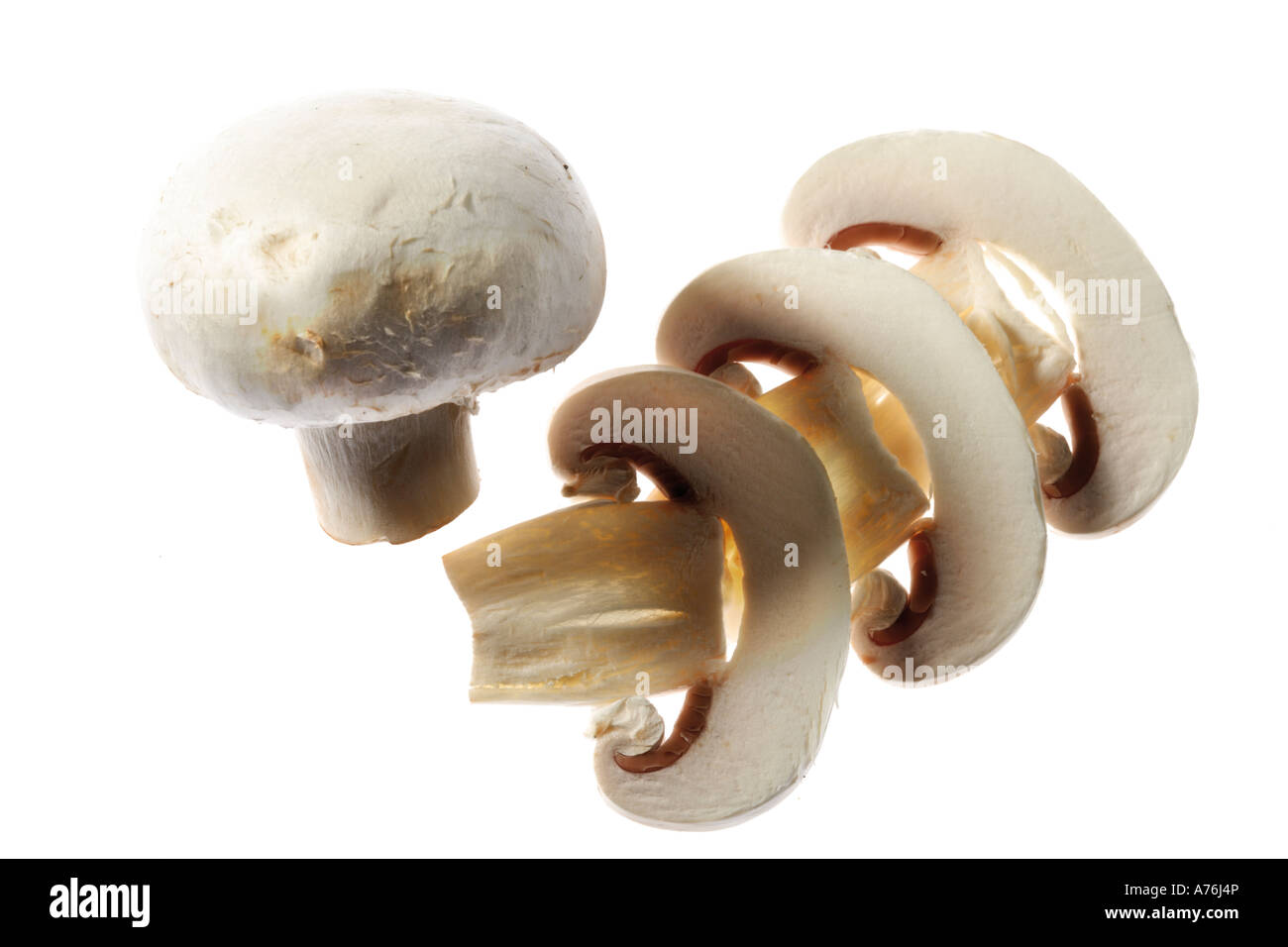 Tagliate a fette di funghi bianco, close-up Foto Stock