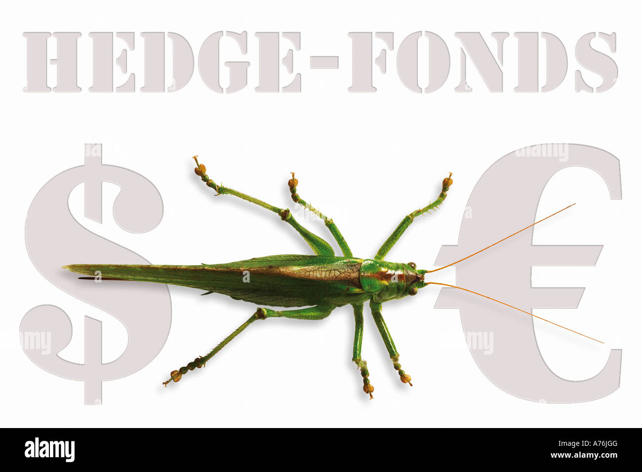 Grasshopper seduto su hedge-fonds segno, simbolo di tedesco per la critica di capitale Foto Stock